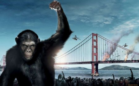 Когда выйдет фильм Планета обезьян: Война?